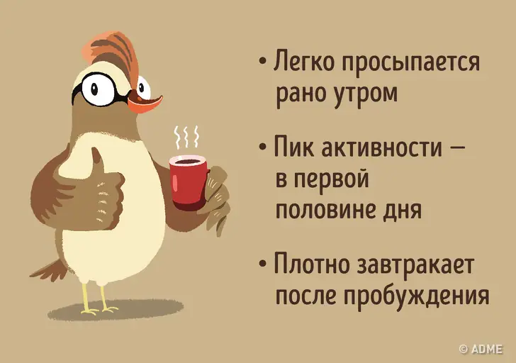 3 мифа, в которые я перестала верить, когда перешла на совиный режим