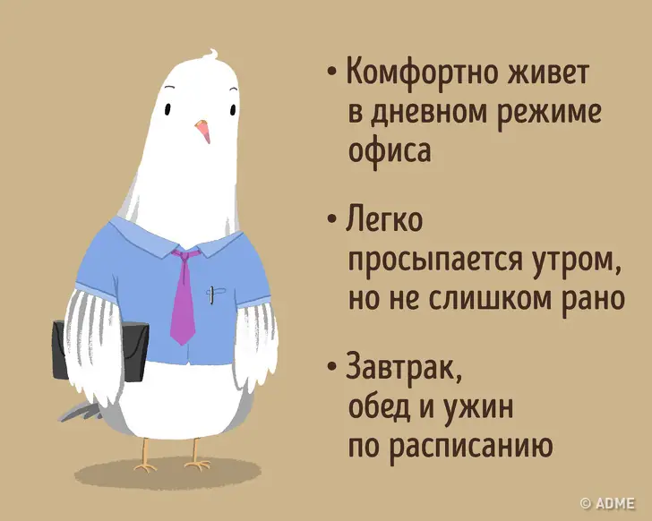 3 мифа, в которые я перестала верить, когда перешла на совиный режим