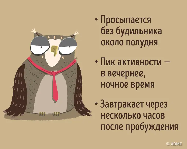 3 мифа, в которые я перестала верить, когда перешла на совиный режим
