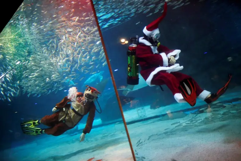 Праздник к нам приходит: SantaCon 2018