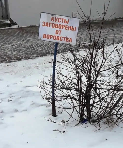 Удивительные снимки с российских просторов 06.01.19