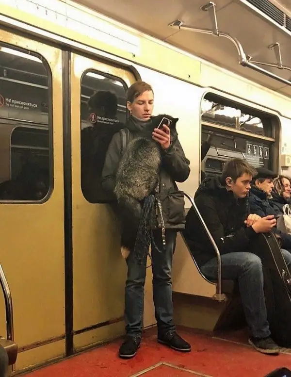Модники и чудаки из метро (20 фото)