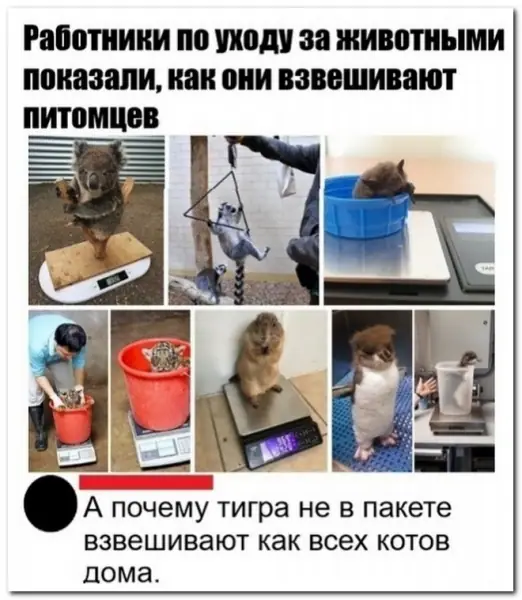 Забавные комментарии из социальных сетей (21.06.21)