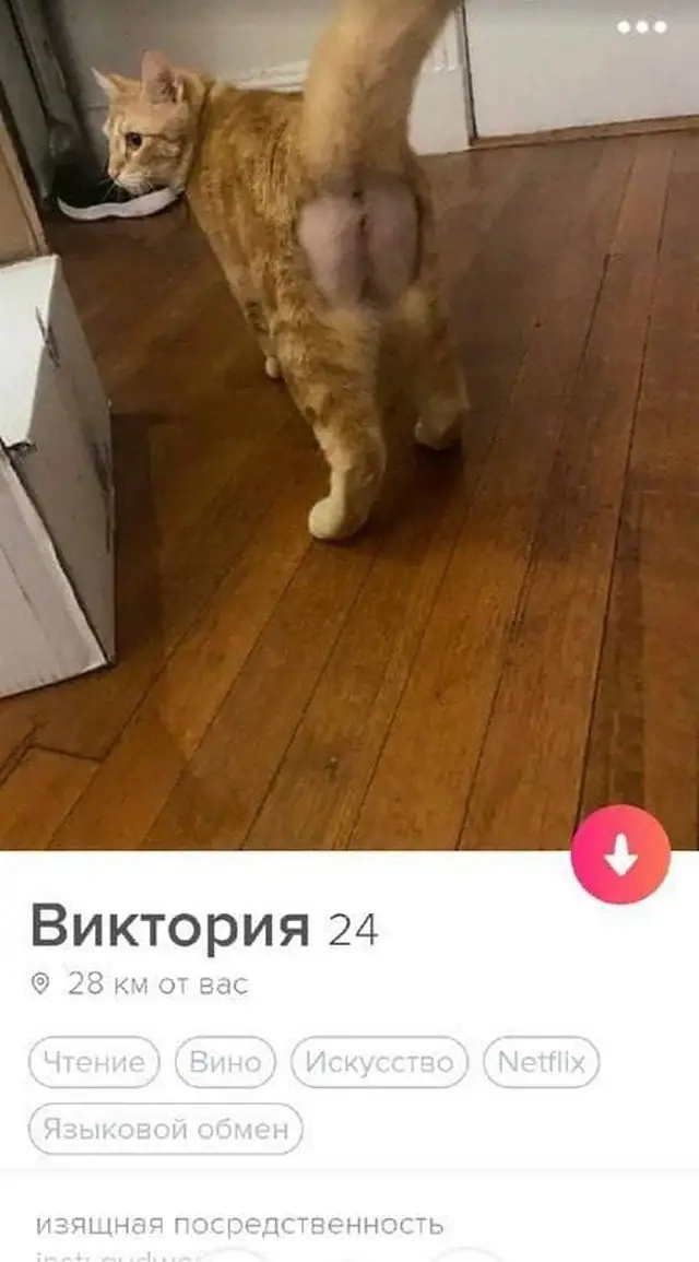 Забавные анкеты от пользователей, желающих познакомиться (15 фото)