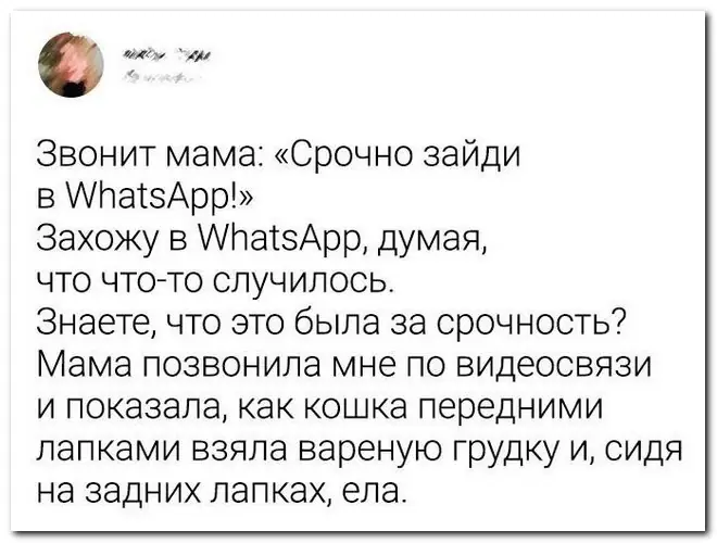Забавные комментарии из социальных сетей (14.06.21)