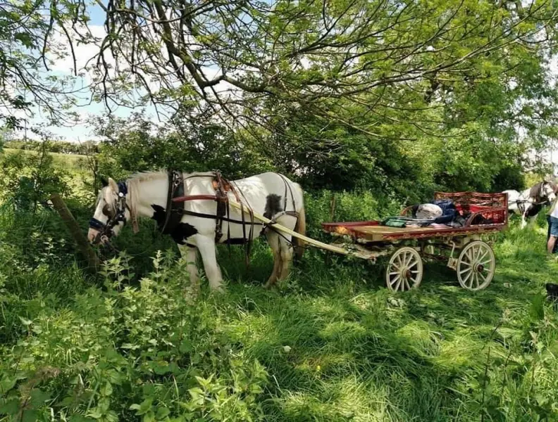 Цыгане игнорируют официальные запреты и приезжают на лошадиную ярмарку Эпплби