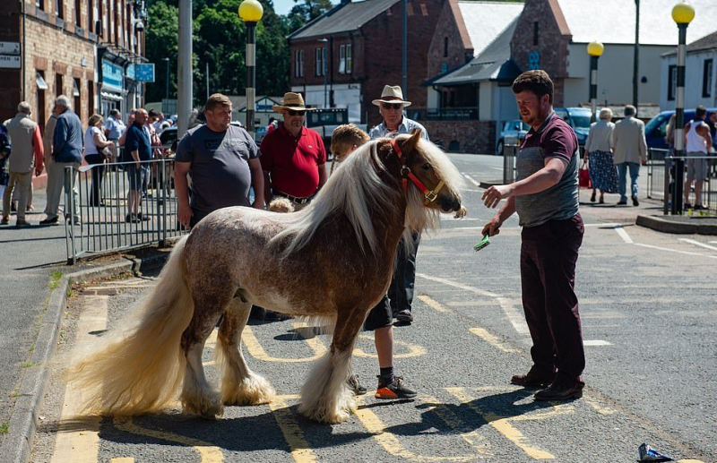 Цыгане игнорируют официальные запреты и приезжают на лошадиную ярмарку Эпплби