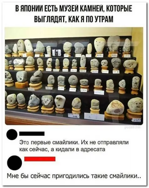 Забавные комментарии из социальных сетей (21.06.21)