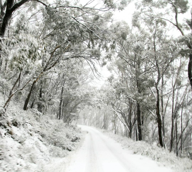 Самый холодный день в Австралии почти за 40 лет