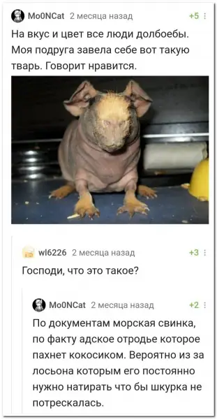 Забавные комментарии из социальных сетей (14.06.21)