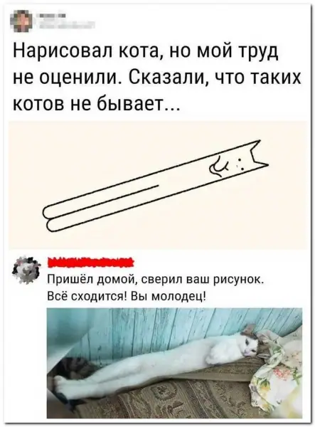 Забавные комментарии из социальных сетей (21.06.21)