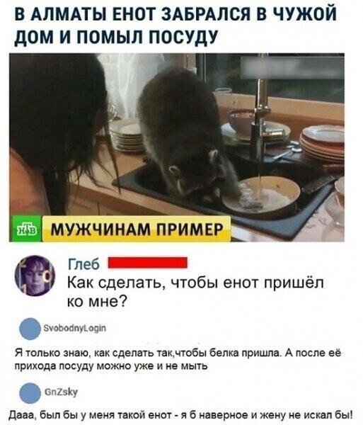 Забавные комментарии и диалоги из соцсетей 17 Слухи