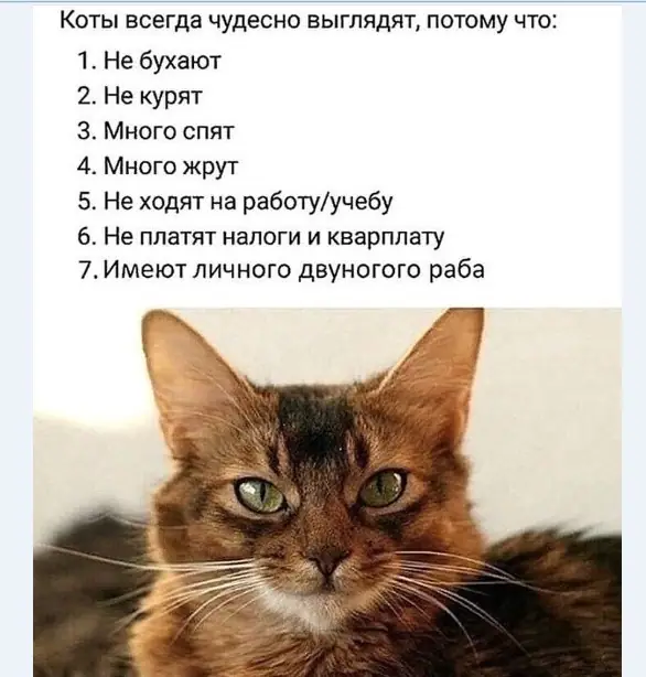 1635260077 16032995
