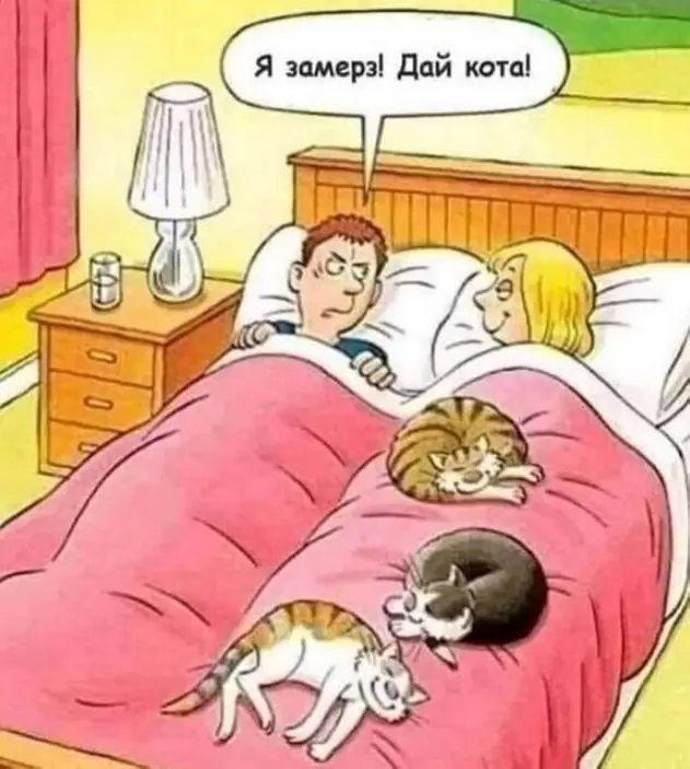 1635260078 16033001