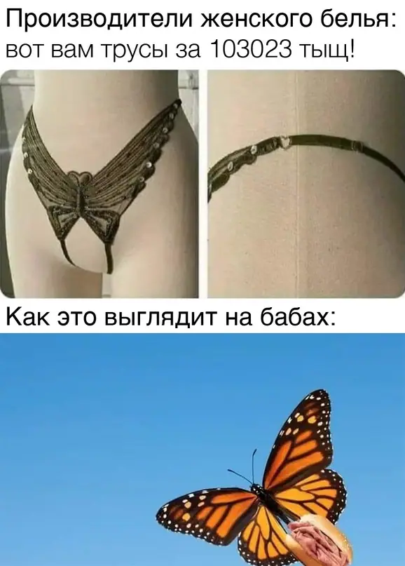 1635260079 16033130