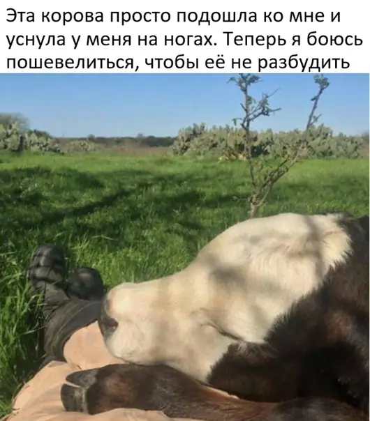 1635260080 16033172