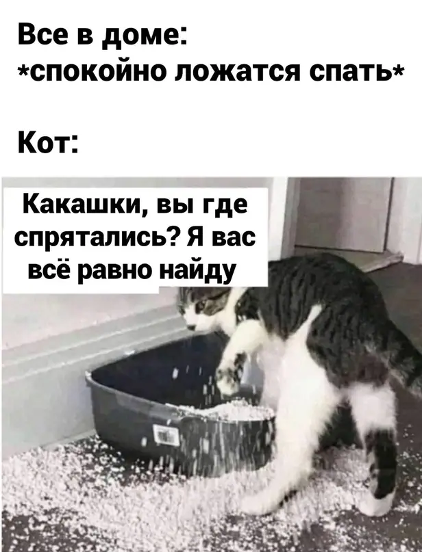 1635260081 16037916