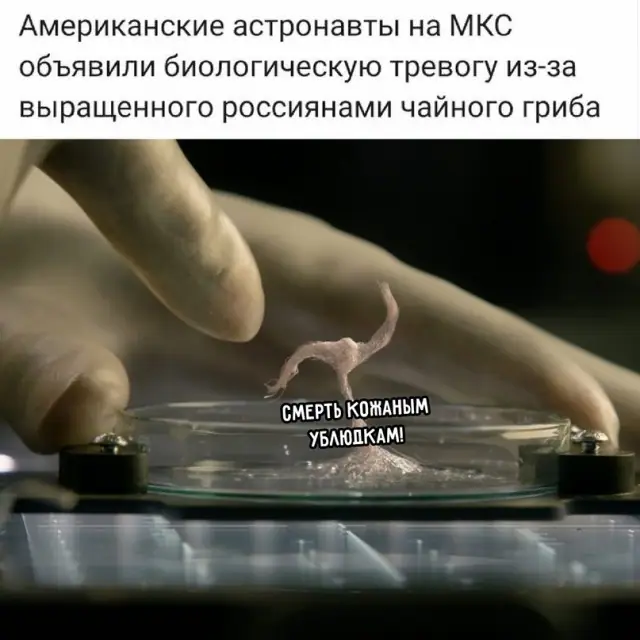 1635260081 16037918