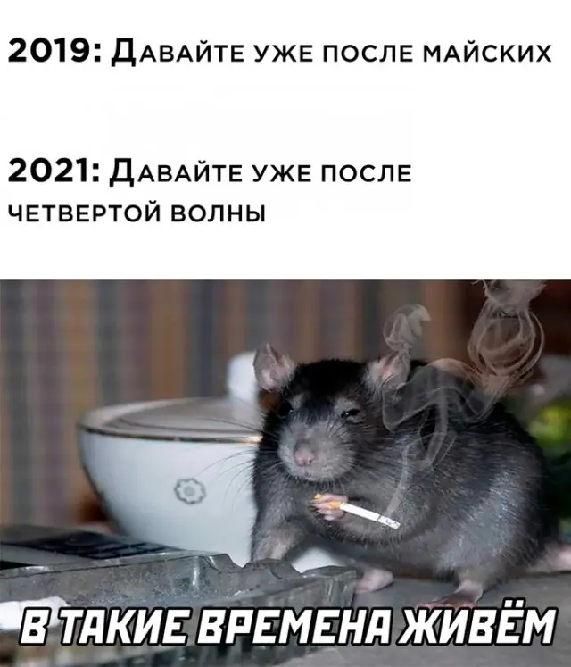 1635260082 16037923