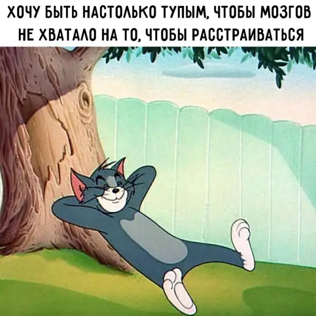 1635310043 16032857