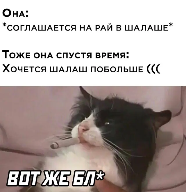 1635310043 16032872