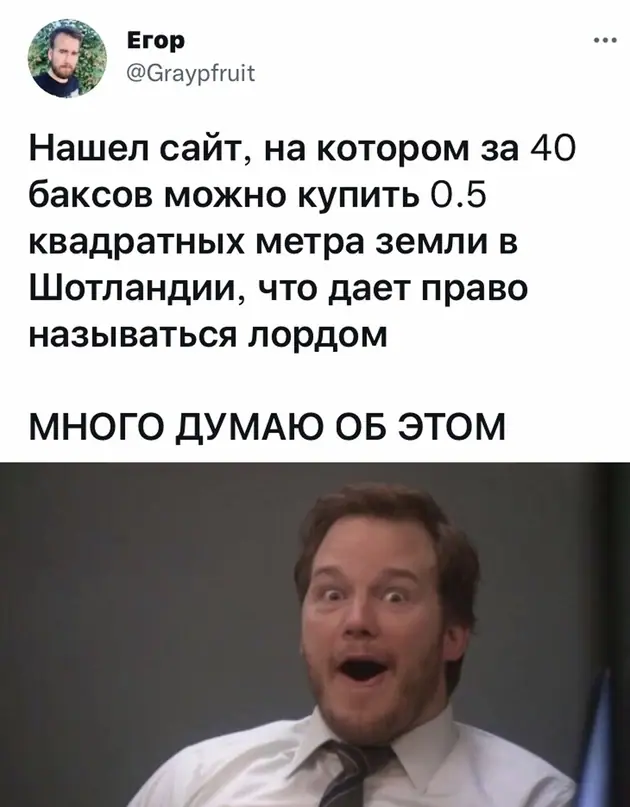 1635310044 16032928
