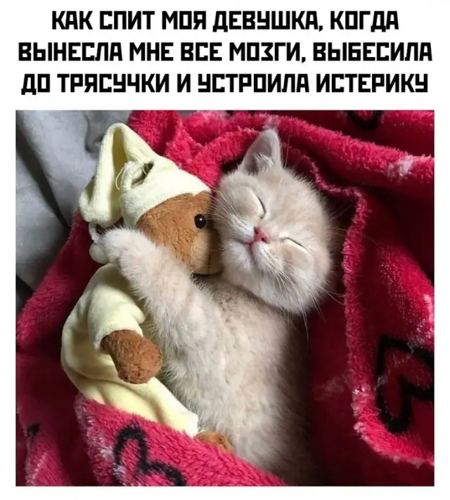 1635310045 16032964
