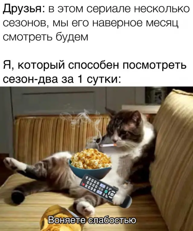 1635310047 16037902