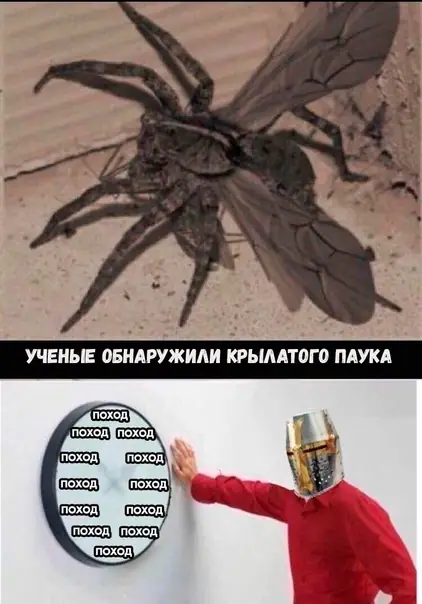 1635310047 16037905