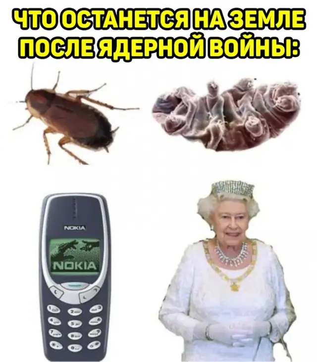 1635310049 16037914