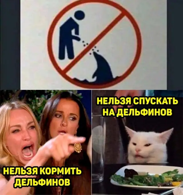 1635310049 16037915