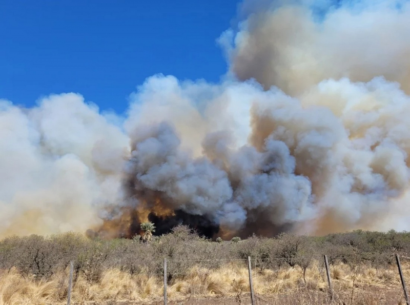 Шокирующие кадры большого лесного пожара на севере Кордовы