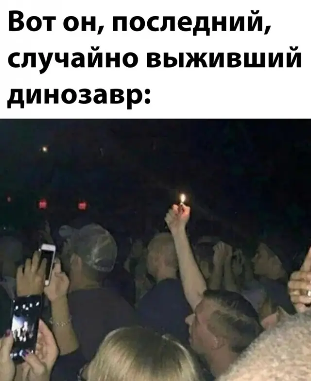 1635868800 i prikolnye kartinki dlja nastroenija 15