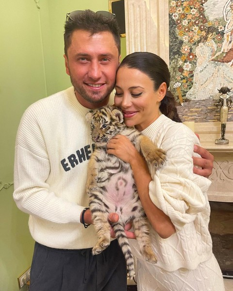 Блогер Конасова распекла Прилучного за фотосессию с тигром: «Ближе всех к пасти хищника оказалась дочь Павла»
